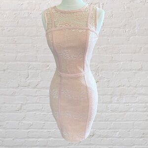 Bebe light pink lace bodycon dress with zipper back